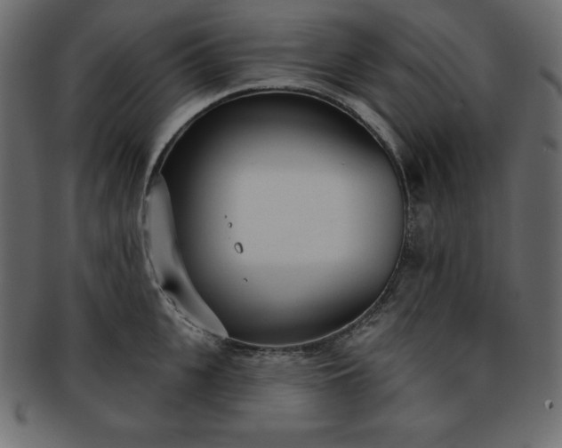 X0000093360951200710191054