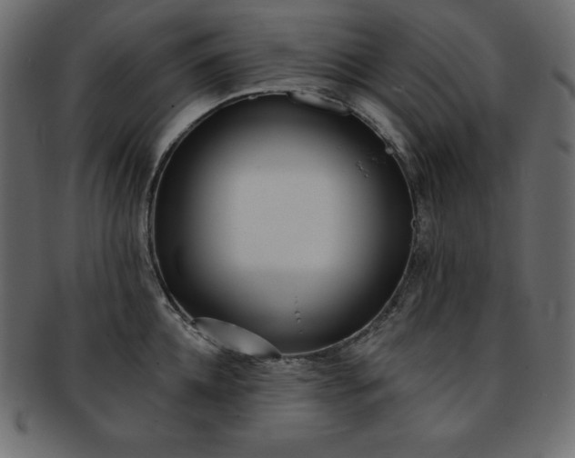 X0000093360952200710191054