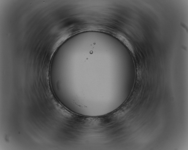 X0000093360954200710191054