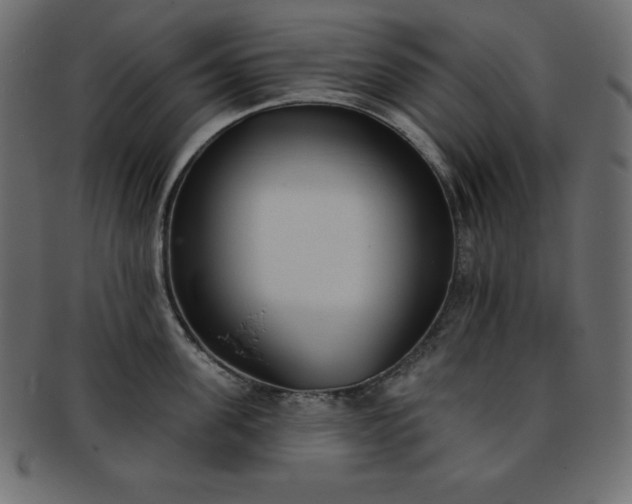 X0000093360955200710191054