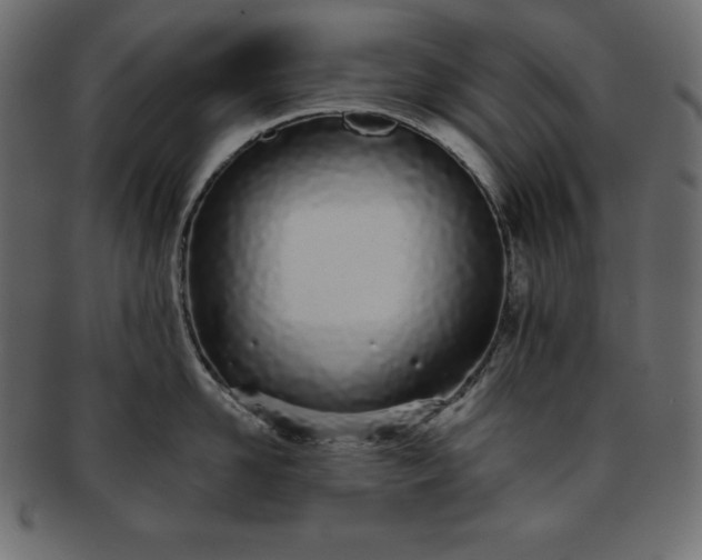 X0000093360958200710191054