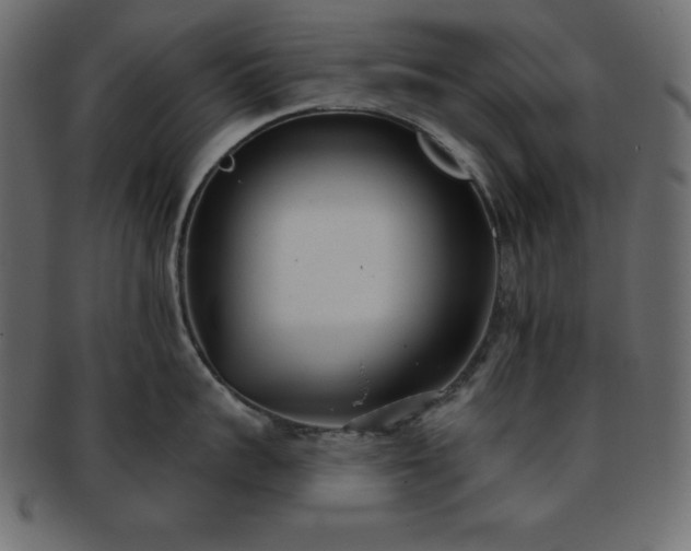 X0000093360959200710191054