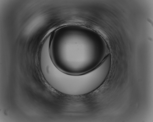 X0000093360960200710191054