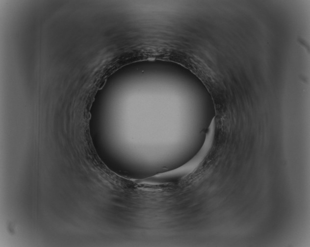 X0000093360961200710191054