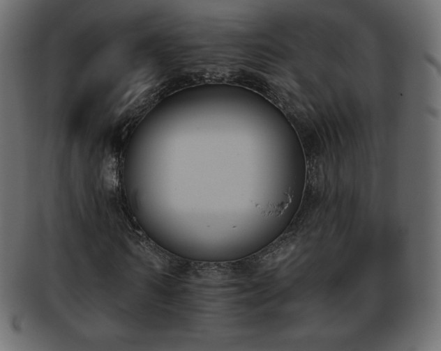 X0000093360962200710191054
