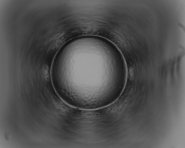 X0000093360963200710191054
