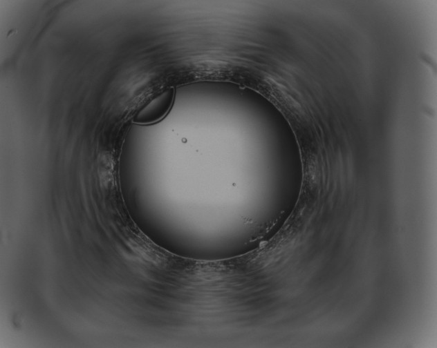 X0000093360964200710191054