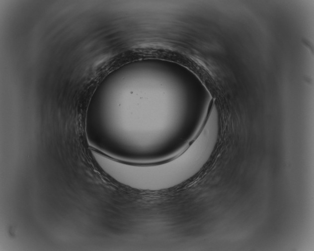 X0000093360965200710191054