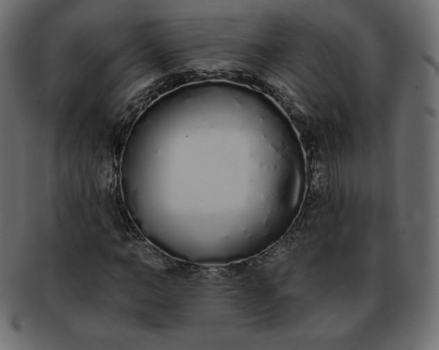 X0000093360966200710191054