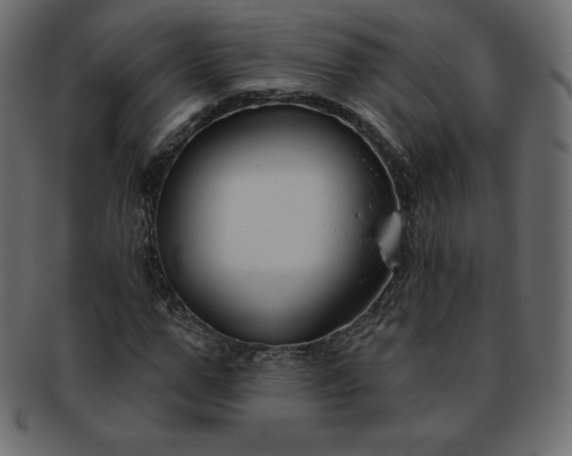 X0000093360967200710191054