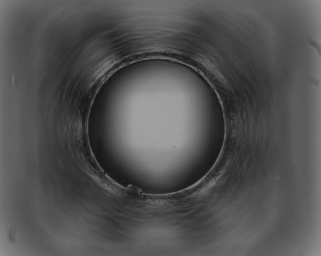 X0000093360969200710191054