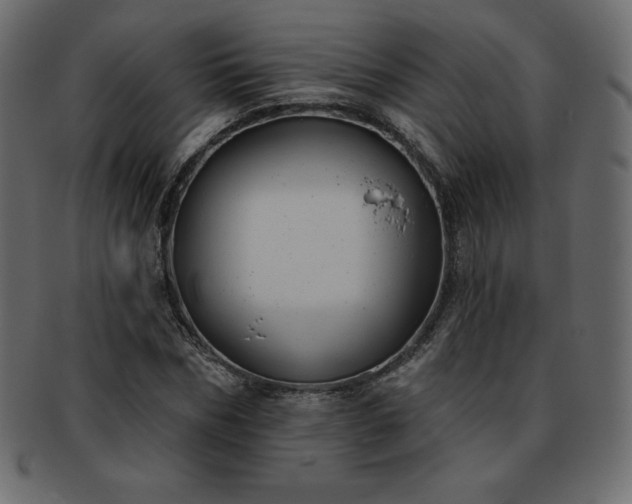 X0000093360970200710191054