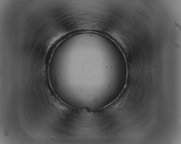 X0000093360971200710191054