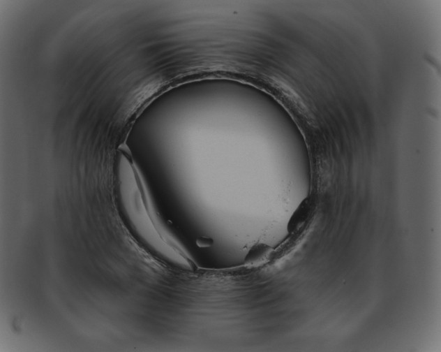 X0000093360977200710191054