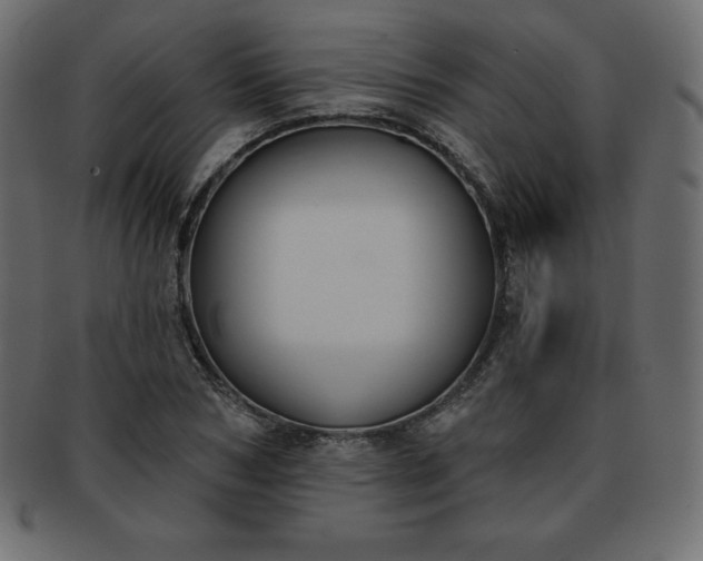 X0000093360978200710191054