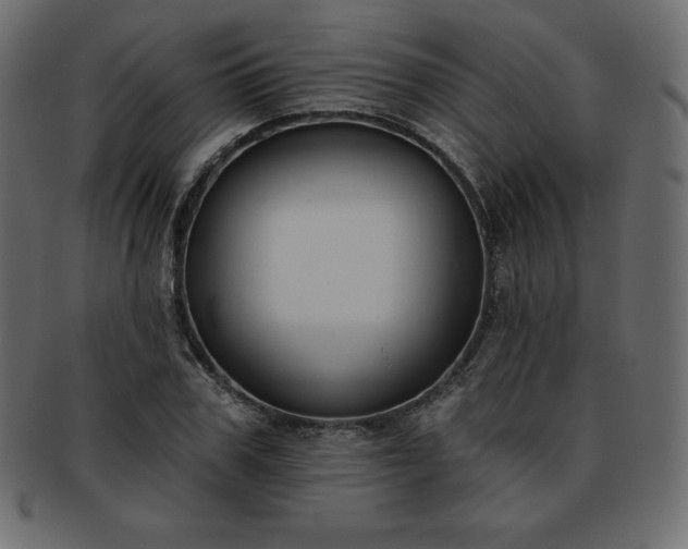X0000093360979200710191054