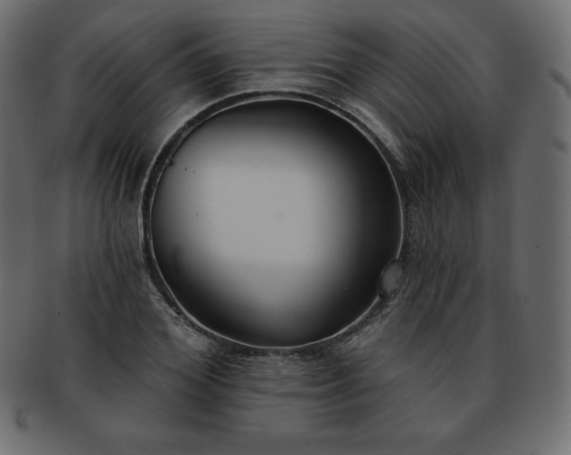 X0000093360980200710191054