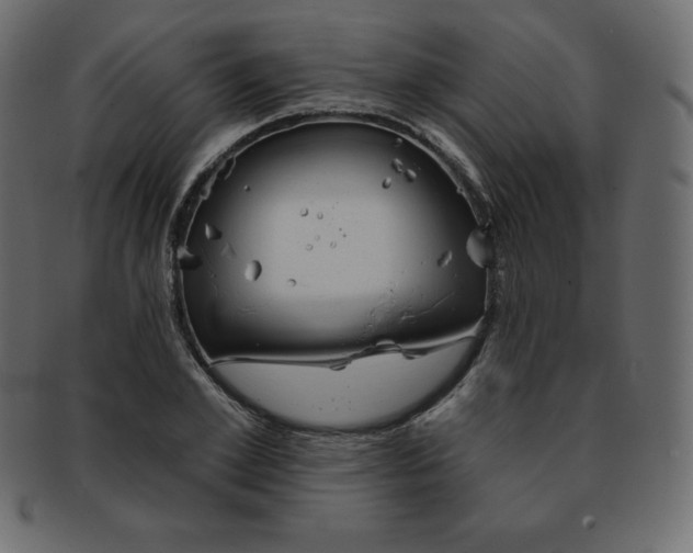 X0000093360981200710191054