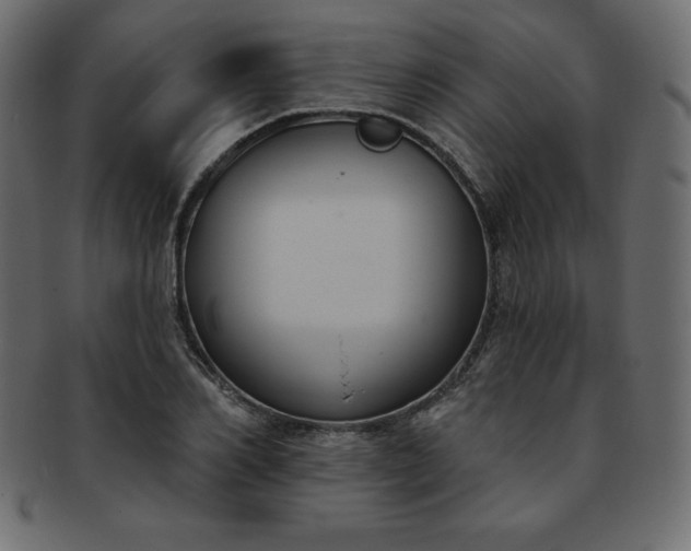 X0000093360982200710191054