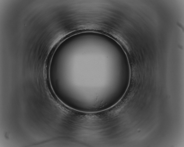 X0000093360983200710191054