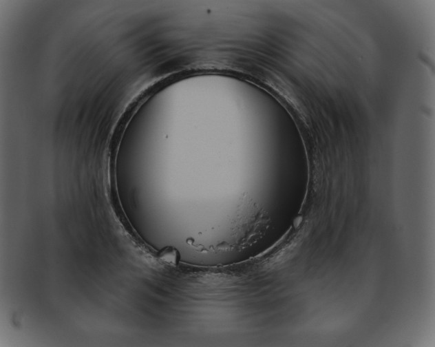 X0000093360984200710191054