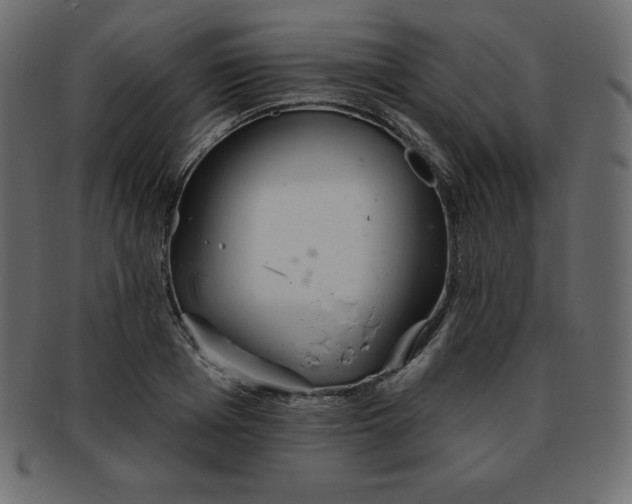 X0000093360985200710191054