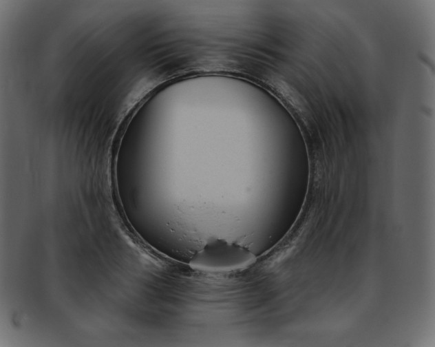 X0000093360986200710191054