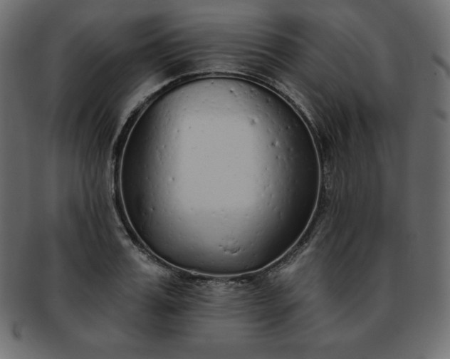 X0000093360987200710191053