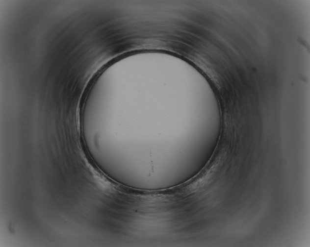 X0000093360988200710191053