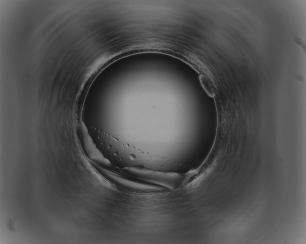 X0000093360989200710191053