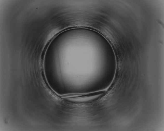 X0000093360990200710191053