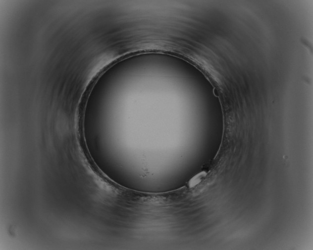 X0000093360991200710191053