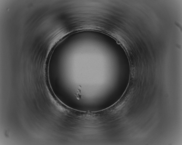 X0000093360995200710191053
