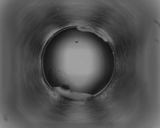 X0000093360996200710191053