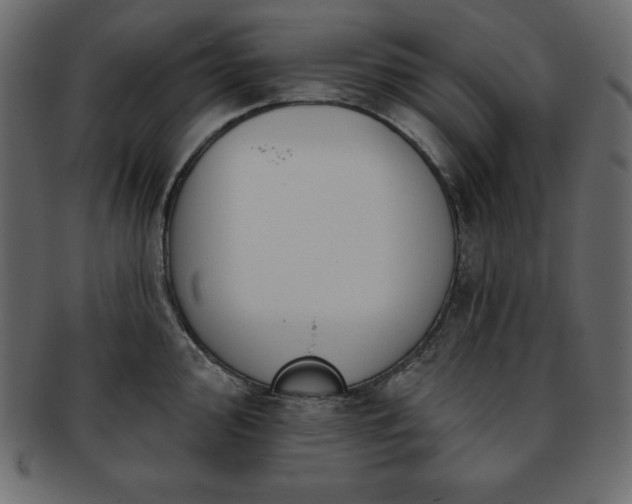 X0000093361000200710191053