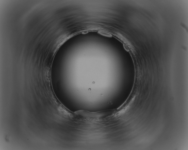 X0000093361001200710191053