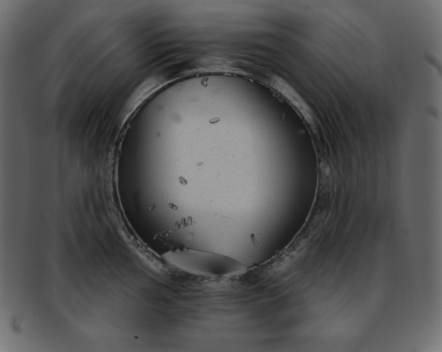 X0000093361002200710191053