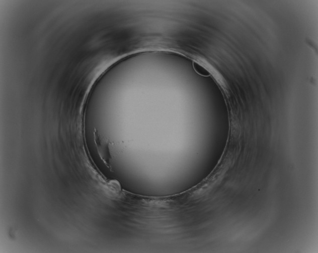 X0000093361004200710191053