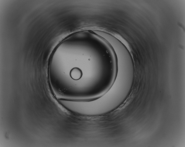 X0000093361005200710191053