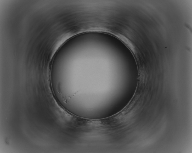 X0000093361006200710191053