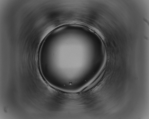 X0000093361007200710191053