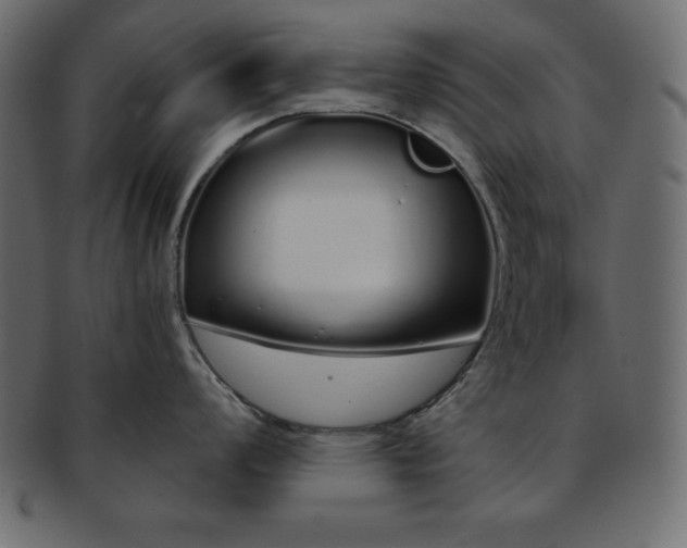 X0000093361008200710191053