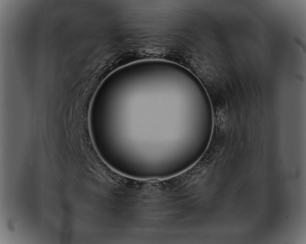 X0000093361009200710191053