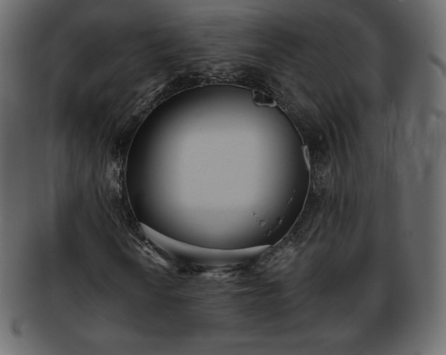 X0000093361010200710191053