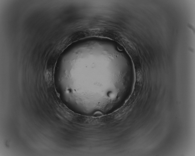 X0000093361011200710191053