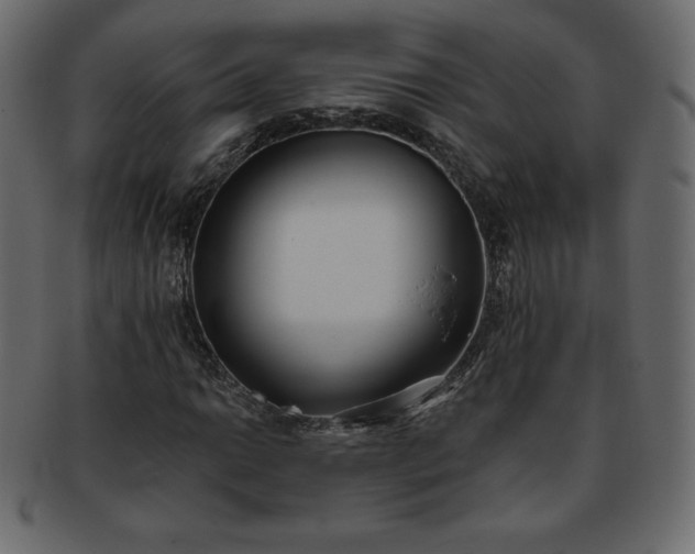 X0000093361014200710191053
