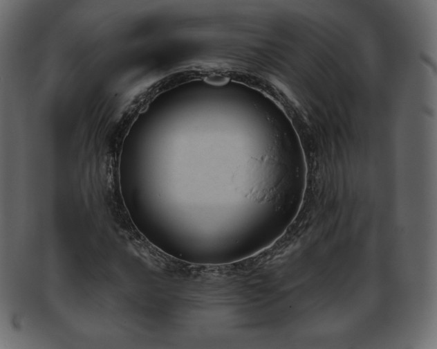 X0000093361016200710191053