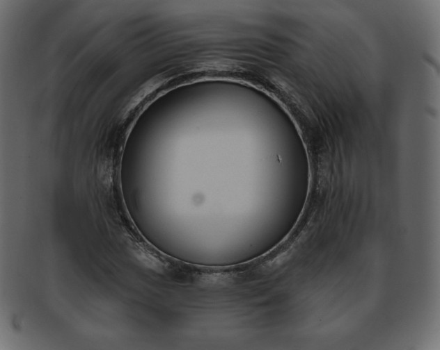 X0000093361017200710191053