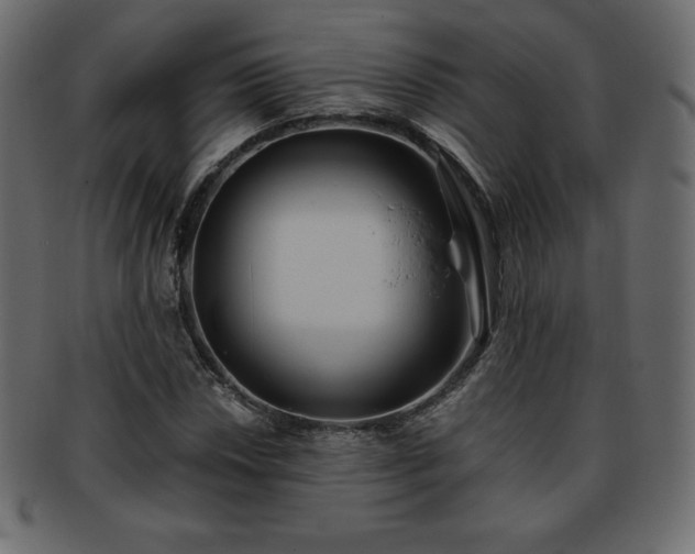 X0000093361018200710191053