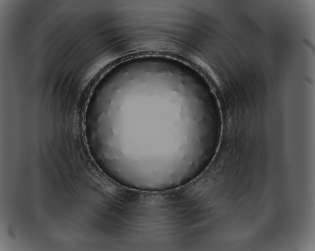 X0000093361019200710191053